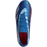 Adidas Predator Accuracy.1 Low 2