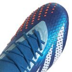 Adidas Predator Accuracy.1 Low 5