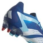 Adidas Predator Accuracy.1 Low 6