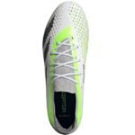 Adidas Predator Accuracy.1 Low 2