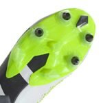 Adidas Predator Accuracy.1 Low 6