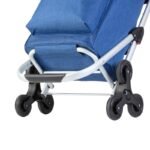 Cruiser Premium Stair Climbing 5