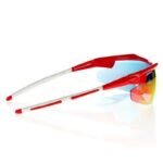 Goggle E690-3 sunglasses - Image 3
