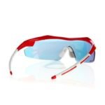 Goggle E690-3 sunglasses - Image 4