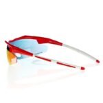 Goggle E690-3 sunglasses - Image 5
