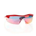 Goggle E690-3 sunglasses - Image 7