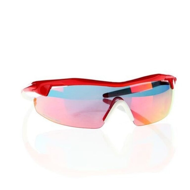 Goggle E690-3 Sunglasses for