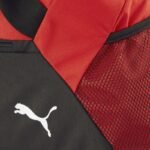 Puma Team Goal Bag 3