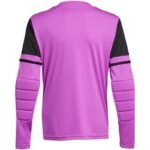 adidas Squadra 25 Long Sleeve Jr Goalkeeper Jersey JJ1939 - Image 2
