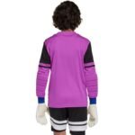 adidas Squadra 25 Long Sleeve Jr Goalkeeper Jersey JJ1939 - Image 4