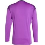 adidas Tiro 25 Competition M JI9726 goalkeeper jersey - Image 2