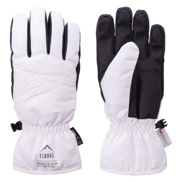 Astia WOS W insulated gloves