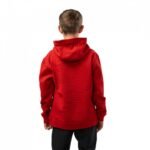 Bauer Graphic Stripe Hoody 2