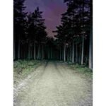 BOOKMAN Volume Front 800 bicycle light - Image 5