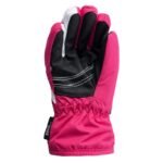 Brugi 3ZCF Jr Ski Gloves 92800463874 - Image 4
