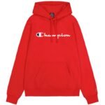 Champion Hooded Men's Sweatshirt 5