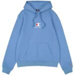 Champion Hooded Sweatshirt M
