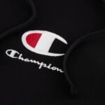Champion Hooded M 220268 6