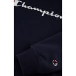 Champion Hooded Sweatshirt M 220253.BS501 - Image 6
