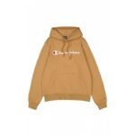 Champion Hooded Sweatshirt M 220253.MS034