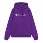 Champion Hooded Sweatshirt M 220253.VS025 - Image 4
