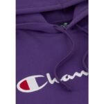 Champion Hooded Sweatshirt M 220253.VS025 - Image 5