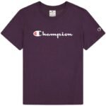 Champion SS Tee W