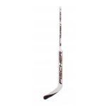 Fischer GF550 Sr 20 2
