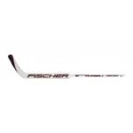 Fischer GF550 Sr 20