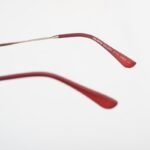 Iguana Glasses GALLERY Sunglasses 5