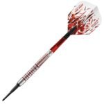 Harrows Darts Damon Heta 2