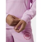 Helly Hansen Core Graphic Hoodie W 54239 052 - Image 6