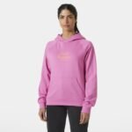 Helly Hansen Core Graphic Hoodie W 54239 089 - Image 5