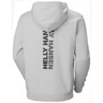 Helly Hansen Core Graphic Sweat Hoodie M 53924 825 - Image 2