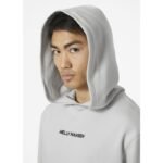 Helly Hansen Core Graphic Sweat Hoodie M 53924 825 - Image 3