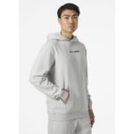 Helly Hansen Core Graphic Sweat Hoodie M 53924 825 - Image 5