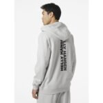 Helly Hansen Core Graphic Sweat Hoodie M 53924 825 - Image 6