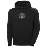 Helly Hansen Core Graphic Sweat Hoodie M 53924 993 - Image 8