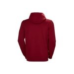 Helly Hansen Logo Hoodie M 33977-215 - Image 2