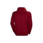 Helly Hansen Logo Hoodie M 33977-215 - Image 5