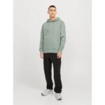 Jack&Jones Mens Hoodie JJESTAR 2