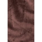 Jack Wolfskin Windhain Hoody W womens softshell jacket with hood, red (1307481_2866) - Image 7