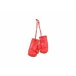 Masters Mini Gloves - 7