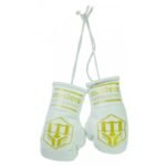 Masters MINI-MFE Mini Gloves 6