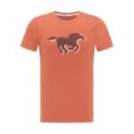 Mustang Aaron C Print 8