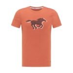 Mustang Aaron C Print