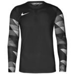 Nike Dry Park IV JSY LS GK Jr CJ6072-010 Jersey - Image 2