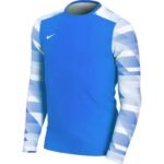 Nike Dry Park IV JSY LS GK Jr CJ6072-463 - Image 7