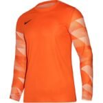 Nike Dry Park IV M T-shirt CJ6066-819