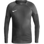 Nike Gardien IV Goalkeeper 2